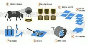 Biofab of leather